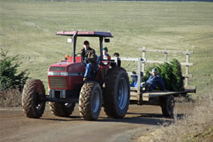 Tree Retreival Assistance